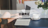 口袋外汇(口袋外汇app)