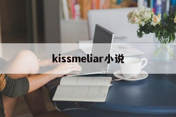 kissmeliar小说(kiss me,lair小说)