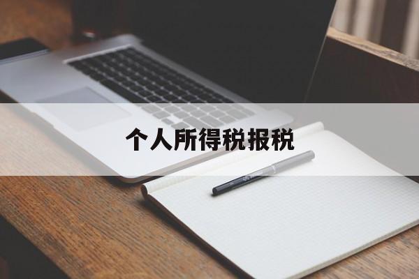 个人所得税报税(企业个税网上申报系统)