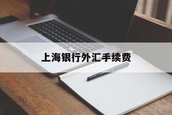 上海银行外汇手续费(上海银行外汇手续费一览表2023最新)